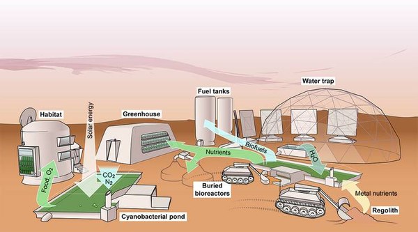 Cyanobacterium-based life-support system (CyBLiSS) auf dem Mars
(Bild: Artwork by Sean McMahon, originally published in: Verseux et al. (2016). Sustainable life support on Mars – the potential roles of cyanobacteria. Int. J. Astrobiol. 15, 65–92.)