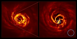 Die Bilder des AB Aurigae-Systems zeigen die Scheibe um das System herum. Das Bild rechts ist eine vergrößerte Version des Bereichs, der durch ein rotes Quadrat auf dem Bild links angezeigt wird. Es zeigt den inneren Bereich der Scheibe, einschließlich des sehr hellgelben "Knicks" (weiß eingekreist), der nach Ansicht der Wissenschaftler die Stelle markiert, an der sich ein Planet bildet. Diese Biegung liegt etwa in der gleichen Entfernung vom Stern AB Aurigae wie Neptun von der Sonne. Der blaue Kreis stellt die Größe der Umlaufbahn von Neptun dar. Die Bilder wurden mit dem Instrument SPHERE am Very Large Telescope der ESO in polarisiertem Licht aufgenommen.
(Bild: ESO/Boccaletti et al.)