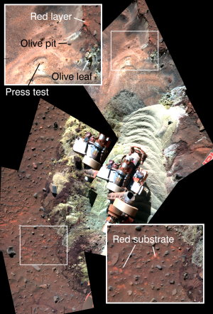 NASA, JPL-Caltech, Cornell University