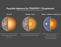 So könnte das Innere der TRAPPIST-1 Exoplaneten aussehen. Je genauer die Forschenden die Dichte eines Planeten kennen, desto mehr können sie den Bereich der möglichen Innenräume für diesen Planeten eingrenzen. Alle sieben Planeten haben sehr ähnliche Dichten, also haben sie wahrscheinlich eine ähnliche Zusammensetzung. (Bild: NASA/JPL-Caltech)