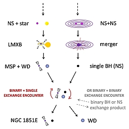 Mögliche Entstehungsgeschichte des Radiopulsars NGC 1851E und seines exotischen Begleitsterns (siehe Text für Details). (Bild: Thomas Tauris (Aalborg University / MPIfR))