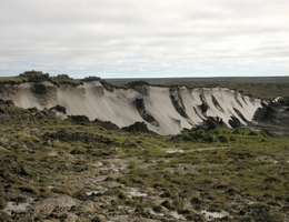 Eisreiche Permafrostböden (Yedoma) auf Bol'shoy Lyakhovsky, Neusibirische Inseln. (Foto: Georg Schwamborn)