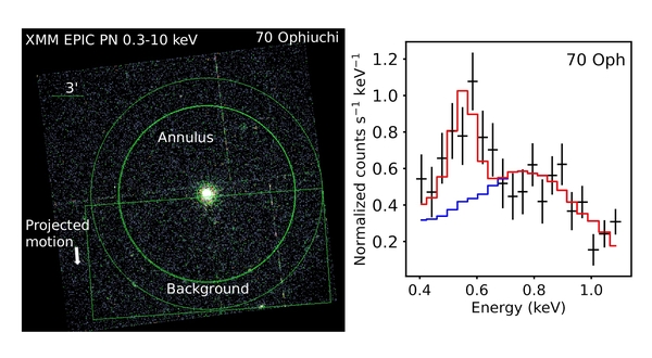XMM-Newton-Röntgenbild des Sterns 70 Ophiuchi (links) und der Röntgenemission des den Stern umgebenden Gebietes ("annulus"), dargestellt in einem Spektrum über die Energie der Röntgenphotonen (rechts). Der größte Teil der Emission besteht aus Röntgenphotonen, die vom Stern selbst stammen, aber innerhalb des Beobachtungsteleskops und über die Kamera gestreut werden (angenähert durch das mit der blauen Linie gezeigte Modell), aber es gibt einen bedeutenden Beitrag um die Sauerstoff-K-alpha-Linie bei einer Energie von 0,56 keV, der von der ausgedehnten Astrosphäre und nicht vom Stern stammt (dieser Beitrag ist im roten Modell enthalten) C: Kislyakova et al. Nature Astronomy, 10.1038/s41550-024-02222-x, 2024
