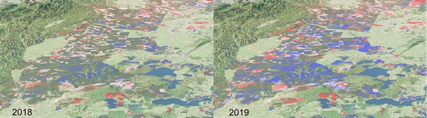 Entwicklung von Waldgebieten, Neuseeland Diese Szene östlich vom Lake Taupo auf der Nordinsel Neuseelands zeigt die Höhenänderung zum globalen TanDEM-X-DEM für Mitte 2018 (links) bzw. Mitte 2019 (rechts) aufgenommene Daten. In der linken oberen Ecke liegt ein geschütztes Waldgebiet, dass sich nur wenig verändert hat, da der natürliche Wald langsam wächst. Rechts davon sieht man ein stark bewirtschaftetes Waldgebiet, in dem fortschreitende Abholzung in rot aber auch Aufwuchs in blau erkennbar ist. Im Vergleich 2018 zu 2019 erscheinen dunklere Blautöne, das heißt das jährliche Wachstum dieser schnell wachsenden Bäume wird sichtbar und messbar. (Bild: DLR)