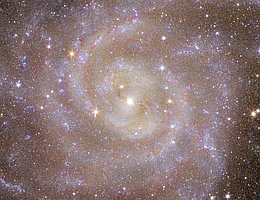 IC 342 ist eine große Spiralgalaxie, ähnlich wie die Milchstraße, die von vorne in weißen und rosa Farben zu sehen ist. Auf dem Foto reichen die Farben der Sterne über das gesamte Bild von blau (jüngerer Stern) über weiß bis hin zu gelb und rot (älterer Stern). (Bild: ESA/Euclid/Euclid Consortium/NASA, image processing by J.-C. Cuillandre, G. Anselmi; CC BY-SA 3.0 IGO)