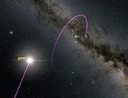 Das Schwarze Loch wurde durch die Bewegung des begleitenden Riesensterns entdeckt. Mit 33-facher Sonnenmasse ist es eines der massereichsten stellaren Schwarze Löcher, die bisher gefunden wurden, und mit etwa 1900 Lichtjahren das zweitnächste Schwarze Loch zur Erde. (Bild: ESA/Gaia/DPAC)