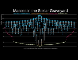 Massen im stellaren Friedhof (Maßeinheit: Sonnenmasse). Die Abbildung zeigt abgeleitete Gravitationsmassen von Neutronensternen und Schwarzen Löchern aufgrund elektromagnetischer (EM) Aufzeichnungen und Gravitationswellendetektoren (LIGO-Virgo-KAGRA). Die Pfeile verbinden zwei verschmelzende kompakte Objekte und ihre verschmolzenen Überreste anhand ausgesendeter Gravitationswellen. (Visualisierung: LIGO-Virgo-KAGRA / Aaron Geller / Northwestern)