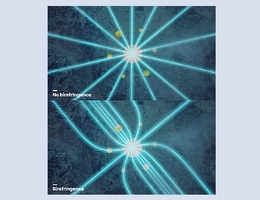 Künstlerische Illustration, die den neu entdeckten optischen Effekt veranschaulicht. Ohne Doppelbrechung (oben) strömt das Licht von einer isotropen Lichtquelle radial aus. Mit Doppelbrechung (unten) wird das Licht langsam in Richtung der Eisflussachse abgelenkt. (Bild: Jack Pairin / IceCube Kollaboration)