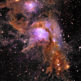 Stern-bildende Region Messier 78. (Bild: ESA/Euclid/Euclid Consortium/NASA, image processing by J.-C. Cuillandre (CEA Paris-Saclay), G. Anselmi)