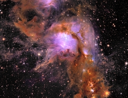 Stern-bildende Region Messier 78. (Bild: ESA/Euclid/Euclid Consortium/NASA, image processing by J.-C. Cuillandre (CEA Paris-Saclay), G. Anselmi)
