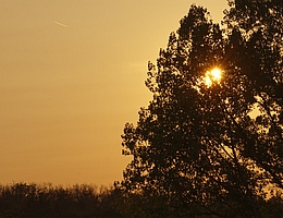 Der Sonnenuntergang am 12.09.20 war milchig-gelb ist - ein Zeichen für Staub in der Atmosphäre. (Bild: Tilo Arnhold, TROPOS)