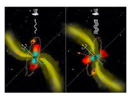 Die Abbildung zeigt die Präzessionsbewegung eines magnetisierten Jets im Radiobereich (gelb), hervorgerufen durch ein supermassereiches binäres Schwarzes Loch im Zentrum der Galaxie. Das schwerere der beiden supermassereichen Schwarzen Löcher (in Schwarz) befindet sich im Zentrum einer Akkretionsscheibe, die sowohl wärmeres (blau) als auch kühleres (rot) Gas enthält. Der weiße Pfeil zeigt den Spin des größeren Schwarzen Lochs an. Das zweite Schwarze Loch (orange) kreist um das zentrale supermassereiche Schwarze Loch, und der orangefarbene Pfeil zeigt die Ausrichtung seines Bahndrehimpulses an. Aufgrund der unterschiedlichen Ausrichtung treibt das Drehmoment des zweiten Schwarzen Lochs die Präzession der Akkretionsscheibe und des ausgestoßenen Jets an (grüner Kreis und Pfeile). Die Radioemission ist mit weißen gekrümmten Linien dargestellt. Ein Radioteleskop zeigt die Richtung zum Beobachter auf der Erde. Die beiden Bilder veranschaulichen, wie der Jet herumwirbelt und die Variationen in der Radioemission erzeugt. Der Jet im rechten Bild ist dem Beobachter zugewandt und erscheint daher heller am Himmel - damit geht auch eine stärkere Radioemission einher. (Bild: Michal Zajaček/UTFA MUNI)