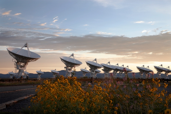 Die Radioteleskope des Very Large Array in San Agustin, New Mexico (USA), gehören zu den Teleskopen des NANOGrav-Konsortiums. (Foto: NRAO/AUI/NSF)