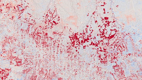 Regenwald-Rodung, Brasilien Rodungsmuster wie hier im brasilianischen Bundesstaat Pará zeichnen sich in den TanDEM-X DEM Change Maps sehr deutlich durch die rot markierten Höhenabnahmen ab. (Bild: DLR)