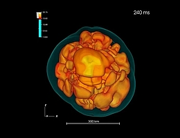 Schnappschuss einer dreidimensionalen Simulation einer Supernova basierend auf einem stellaren Modell mit einer Masse, 11,2 Mal so schwer wie die Sonne. Konvektive Umwälzungen sind sichtbar, wenn sich die Neutrino-geheizte Materie in pilzartigen Schwaden ausdehnt. (Bild: Tamborra et al. 2014)