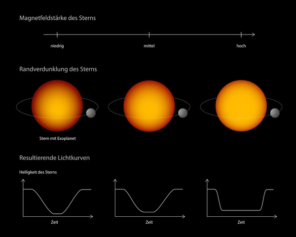 Sternen mit geringer Magnetfeldstärke weisen eine ausgeprägtere Randverdunklung auf als solche mit starkem Magnetfeld. Dies wirkt sich auf die Form der Lichtkurve aus. (Grafik: MPS / hormesdesign.de)