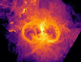 Gasdichte rund um eine massereiche Zentralgalaxie in einer Galaxiengruppe im virtuellen Universum der TNG50-Simulation. Das Gas im Inneren der Galaxie entspricht der hellen vertikalen Struktur und bildet eine Gasscheibe. Links und rechts von der Struktur befinden sich Blasen - Regionen, die in diesem Bild wie Kreise aussehen, mit deutlich reduzierter Gasdichte im Inneren. Diese Geometrie des Gases ist auf die Wirkung des supermassereichen Schwarzen Lochs zurückzuführen, das sich im Zentrum der Galaxie verbirgt, das Gas vorzugsweise in Richtungen senkrecht zur Gasscheibe der Galaxie ausstößt und dabei Regionen mit geringerer Dichte erzeugt. (Bild: TNG Collaboration/Dylan Nelson)