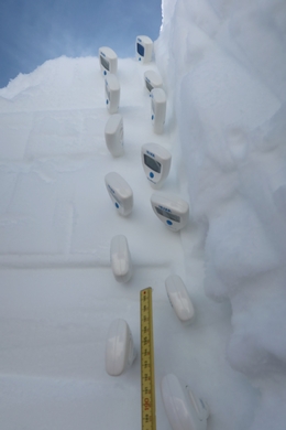 Mit zahlreichen Thermometern bestimmt Francesca Carletti die Temperatur in der Schneedecke in Abständen von fünf Zentimetern. (Bild: Jochen Bettzieche / SLF - CC-BY)