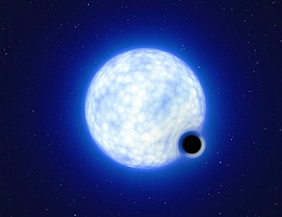 Diese künstlerische Darstellung zeigt, wie das Doppelsternsystem VFTS 243 im Tarantelnebel in der Großen Magellanschen Wolke aussehen könnte, wenn wir es aus der Nähe beobachten würden. Die Größen der beiden Komponenten des Doppelsternsystems sind nicht maßstabsgetreu: In Wirklichkeit ist der blaue Stern etwa 200 000 Mal größer als das schwarze Loch. Beachten Sie, dass der Linseneffekt um das schwarze Loch nur zur Veranschaulichung dargestellt ist, um dieses dunkle Objekt auf dem Bild besser sichtbar zu machen. (Bild: ESO/L. Calçada)