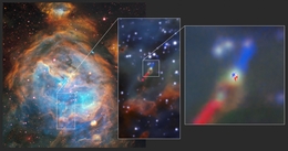 Mit den vereinten Fähigkeiten des Very Large Telescope (VLT) der ESO und des Atacama Large Millimeter/submillimeter Array (ALMA), an dem die ESO beteiligt ist, wurde eine Scheibe um einen jungen massereichen Stern in einer anderen Galaxie beobachtet. Die Aufnahmen des Multi Unit Spectroscopic Explorer (MUSE) am VLT (links) zeigen die Mutterwolke LHA 120-N 180B, in der dieses System mit der Bezeichnung HH 1177 erstmals beobachtet wurde. Das Bild in der Mitte zeigt die Jets, die das System begleiten. Der obere Teil des Jets ist leicht auf uns gerichtet und daher blauverschoben; der untere Teil entfernt sich von uns und ist daher rotverschoben. Die Beobachtungen von ALMA (rechts) förderten dann die rotierende Scheibe um den Stern zutage, deren Seiten sich ebenfalls auf uns zu und von uns weg bewegen. (Bild: ESO/ALMA (ESO/NAOJ/NRAO)/A. McLeod et al.)