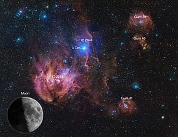 Der Nebel des Laufenden Huhns mit Beschriftung. (Bild: ESO/VPHAS+ team. Acknowledgement: CASU)