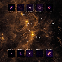 Planetenbildende Scheiben um junge Sterne und ihre Lage in der gasreichen Wolke des Orion, etwa 1600 Lichtjahre von der Erde entfernt. Die faszinierenden Bilder der Scheiben wurden mit dem Spectro-Polarimetric High-contrast Exoplanet REsearch (SPHERE) Instrument am Very Large Telescope (VLT) der ESO aufgenommen. Insgesamt beobachtete das Team 23 Sterne in der Orion-Region und entdeckte um zehn von ihnen planetenbildende Scheiben. Das ungleichmäßige Erscheinungsbild einiger Scheiben in dieser Region könnte darauf hindeuten, dass in ihnen massereiche Planeten eingebettet sind, da diese die Scheiben verformen und ungleichmäßig ausrichten könnten. Das Hintergrundbild zeigt eine Infrarotaufnahme des Orion, die vom Infrared Astronomical Satellite gemacht wurde. (Bild: ESO/P.-G. Valegård et al.; IRAS)