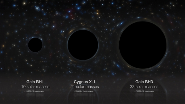 Diese künstlerische Darstellung vergleicht drei stellare schwarze Löcher in unserer Galaxie nebeneinander: Gaia BH1, Cygnus X-1 und Gaia BH3, deren Massen das 10-, 21- bzw. 33-fache der Sonnenmasse betragen. Gaia BH3 ist das massereichste stellare schwarze Loch, das bisher in der Milchstraße gefunden wurde. Die Radien der schwarzen Löcher sind direkt proportional zu ihren Massen, aber es ist wichtig zu beachten, dass die schwarzen Löcher selbst nicht direkt abgebildet worden sind. (Bild: ESO/M. Kornmesser)