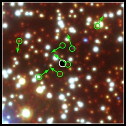 Zoom in die Region von Omega Centauri, in der sich die schnellen Sterne befinden. Die sieben schnellen Sterne sind mit grünen Kreisen markiert, die Pfeile zeigen ihre Bewegungsrichtung. Die Position des Schwarzen Loches ist mit einem schwarzen Kreis mit weißer Kreislinie markiert. (Bild: M. Häberle)