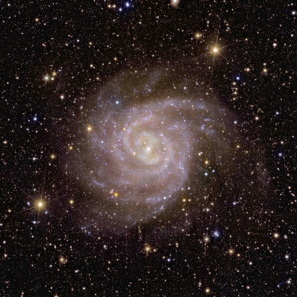 Euclids Ansicht der Spiralgalaxie IC 342 (Bild: ESA/Euclid/Euclid Consortium/NASA, image processing by J.-C. Cuillandre (CEA Paris-Saclay), G. Anselmi)