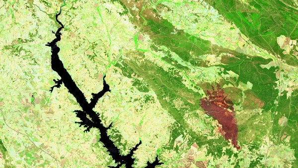 Stausee und Waldbrandschäden in der Provinz Cuenca in Spanien Dieses Bild von Sentinel-2 zeigt in schwarz den Stausee von Alarcón sowie landwirtschaftliche Nutzflächen und Wälder. Die rotbraunen Flächen in der rechten Bildmitte haben vor kurzem gebrannt. Die Region liegt südlich der Spanischen Stadt Cuenca, etwa in der Mitte zwischen Madrid und Valencia. Die Darstellung zeigt die Landschaft nicht in sichtbaren Farben, sondern sie nutzt die Fähigkeit des Satelliten, auch im Bereich kurzwelliger Infrarotstrahlung „sehen“ zu können. Die Sentinel-2-Satelliten liefern Aufnahmen in 13 Spektralkanälen, die im sichtbaren und infraroten Spektrum zwischen 443 und 2.190 Nanometern Wellenlänge angesiedelt sind. Das Bild entstand am 31. Juli 2024. (Bild: European Union, Copernicus Sentinel-2)